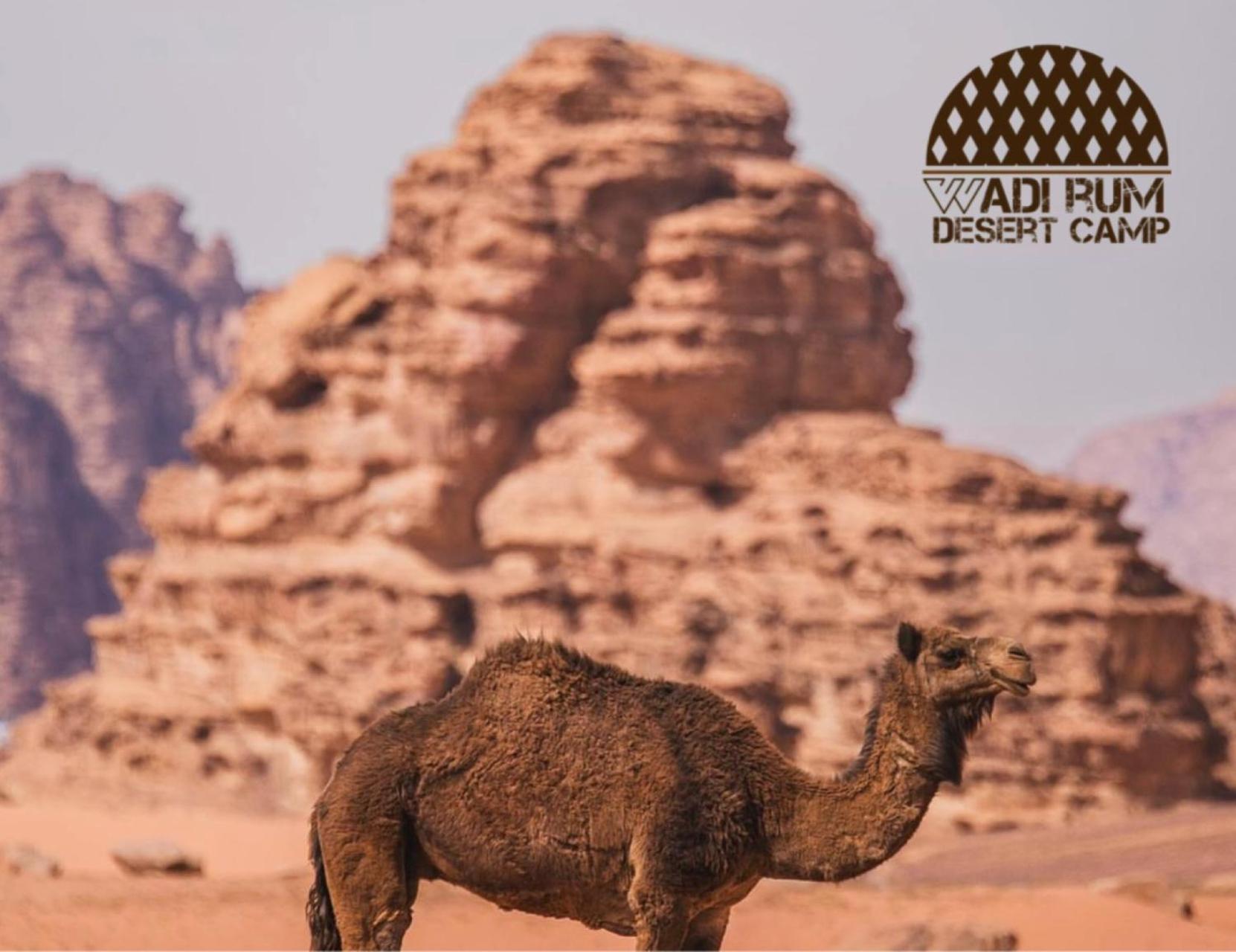 Wadi Rum Desert Camp מראה חיצוני תמונה